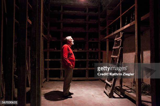 man in a wine cellar, looking at rack with bottles - wine cellar stock pictures, royalty-free photos & images