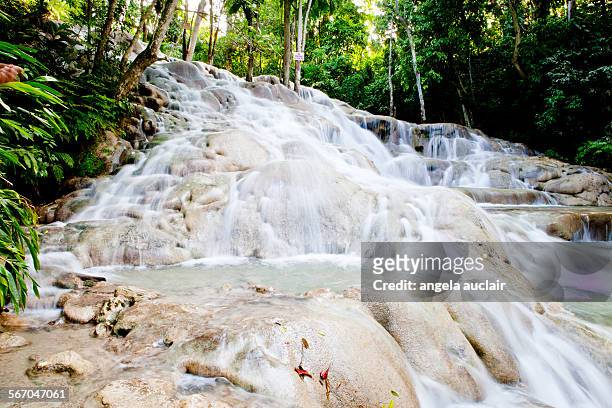 dunno falls, ocho rios, jamaica - dunns river falls stock pictures, royalty-free photos & images