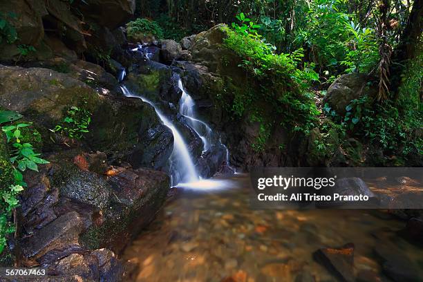 cilember waterfall in puncak area, west java - puncak pass stock pictures, royalty-free photos & images
