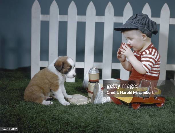 Boy and his St Bernard puppy have a drink while playing in the garden, 1949.