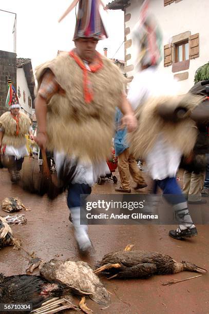 Group of 'Zanpantzar' people dressed in sheep fur and big cowbells tied to their back, pass over dead drakes in Zubieta village during an ancient...