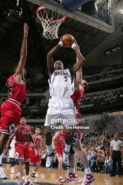 Josh Howard of the Dallas Mavericks takes a rebound against the Chicago Bulls January 31, 2006 at American Airlines Center in Dallas, Texas. NOTE TO...