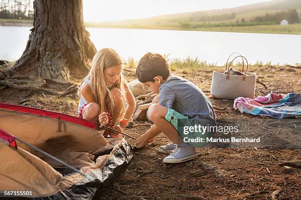 brother and sister setting up a tent. - camping fotografías e imágenes de stock