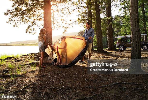 family is setting up a tent. - family camping stock-fotos und bilder