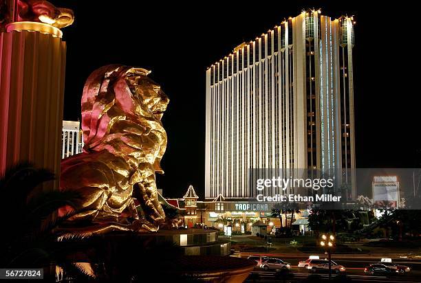 The lion over the Strip entrance of the MGM Grand Hotel/Casino and the Tropicana Resort and Casino are shown February 1, 2006 in Las Vegas, Nevada.