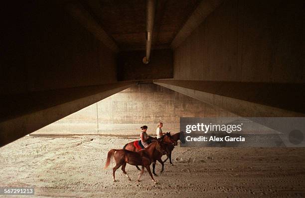 Urban cowgirls.0630.AAGNewport Beach residents Denise Landry and her friend Kerry Monk ride horses along the San Diego Creek Channel under the...