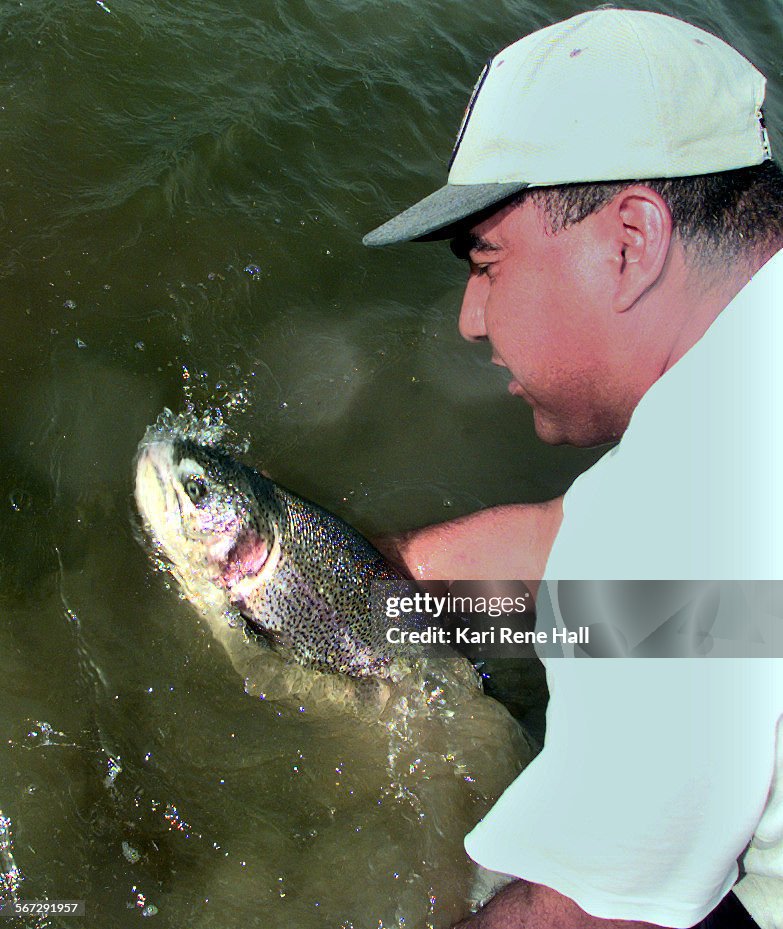 ME.Fishing.release.4.4/29/98.KRH.Louie Cervantes releases a tagged large rainbow trout into Santa An