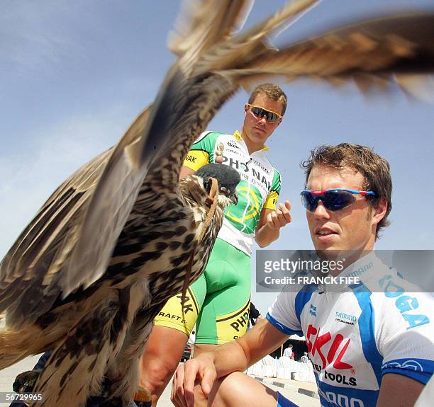 Switzerland's Aurelien Clerc and Dutch Art Vierhouten look at a hawk before the fourth stage of the 5th edition of the Tour of Qatar cycling race...