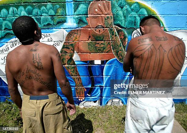 Tegucigalpa, HONDURAS: Two unidentified members of the Mara Salvatrucha "MS-13" show their tatoos in front of a graffiti with a message that reads...