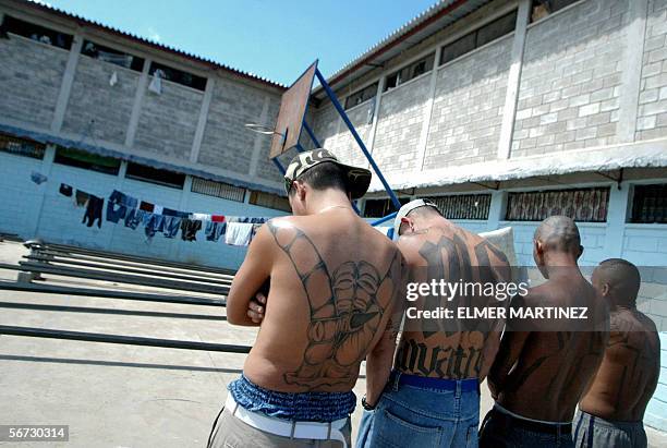 Tegucigalpa, HONDURAS: Four unidentified members of the Mara Salvatrucha "MS-13" show their tatoos in the unit where they are kept imprisioned in the...