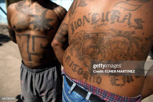 Tegucigalpa, HONDURAS: Two unidentified members of the Mara Salvatrucha "MS-13" show their tatoos in the unit where they are kept imprisioned in the...
