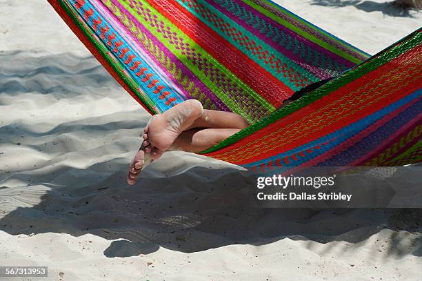 a pair of feet dangling from a hammock - mujeres fotos stock-fotos und bilder