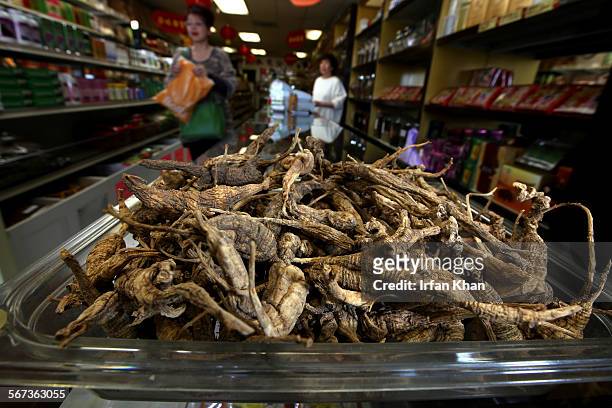 Tray full of American ginseng that is being sold for $2300 per-pound at Shinsen Ginseng and Herbs, Inc. In San Gabriel.