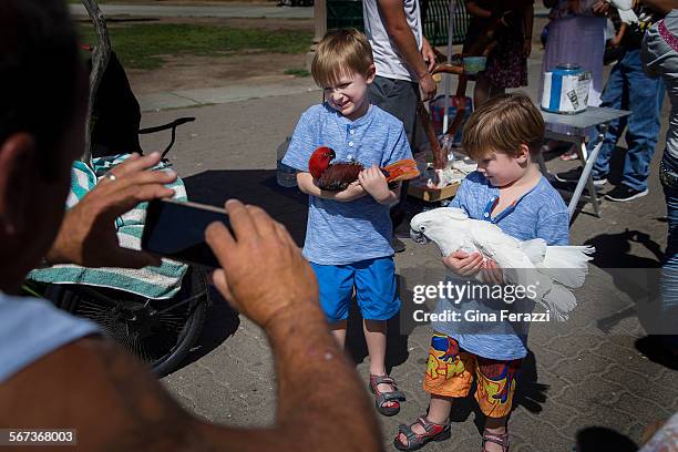 Bird owner Howard Kaminsky,left, photographs youngsters Jack and Archibald Cobb of Carlsbad as they hold two of Kaminsky's birds while visiting...