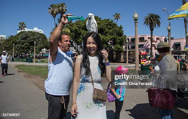 Tourist Undral Nyamosor of Mongolia enjoys a white cockatoo on her head visiting Palisades Park at the Santa Monica Pier where exotic bird owner...