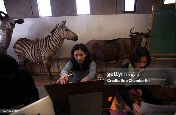 Ranhee 22 Tracy Colby Stock Photos, High-Res Pictures, and Images - Getty Images