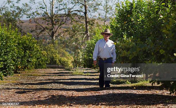 Derek Knobel, vice president of Ranch Operations, checks on the citrus at Rancho Mission Viejo 400 acre farm on June 25, 2104 in San Juan Capistrano,...