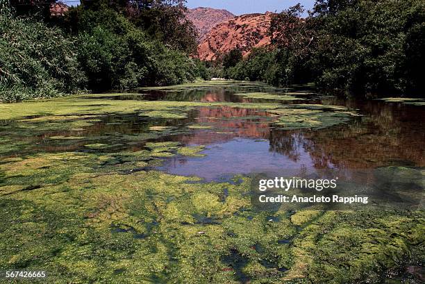 Tapia.4.0610.ARCelebrities, private citizens, environmental groups including Heal the Bay, Naturtal Resources Defense Council and Surfrider...