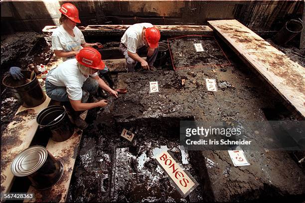 Tar pits.2.0730.IS.Museum staff and volunteers digging through tar at Pit 91 of La Brea Tar Pits to find bones and other items buried there. Photo...