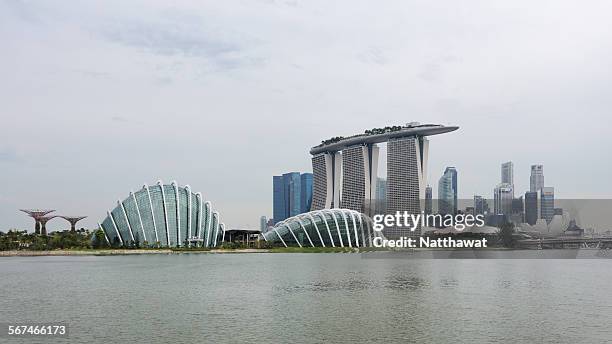 marina bay skyline and garden - gardens by the bay stock pictures, royalty-free photos & images