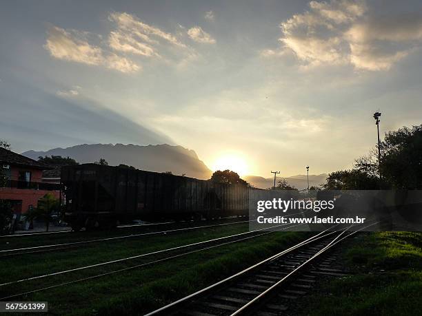 freight train wagons and rails. - carga stock pictures, royalty-free photos & images