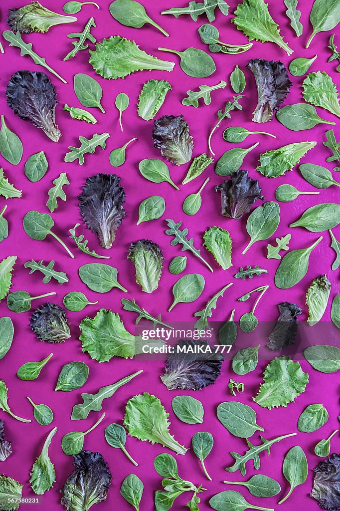 Full frame, leaves of lettuce arranged in patterns