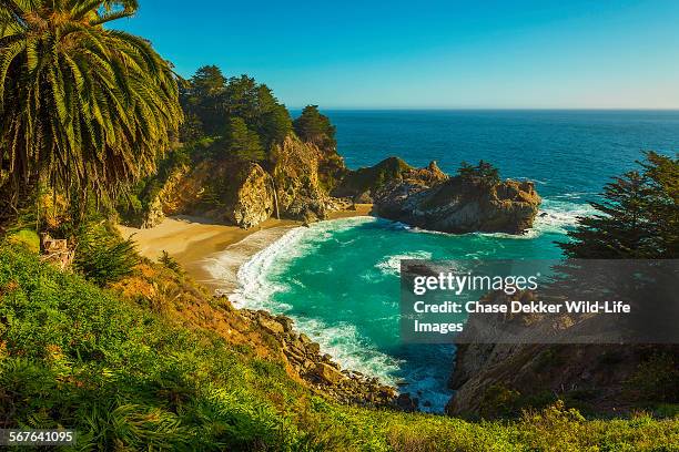 mcway falls - cidade de monterey califórnia - fotografias e filmes do acervo