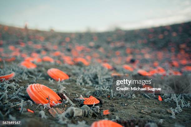 broken clay pigeons on the muddy, snowy ground. - clay shooting stockfoto's en -beelden