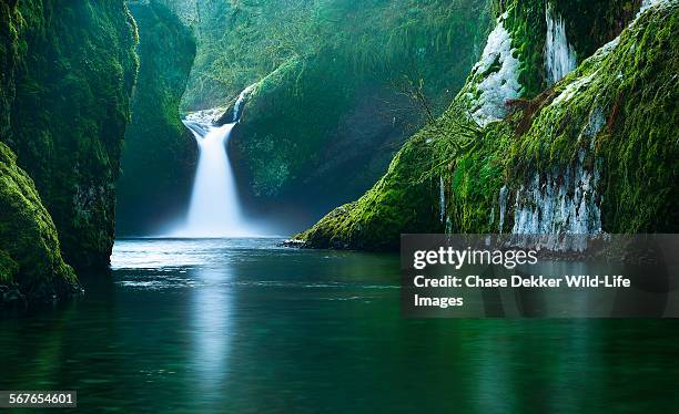 the punchbowl - douglas fir stock pictures, royalty-free photos & images