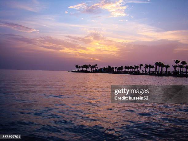hurghada egypt sunshine - hussein52 stock pictures, royalty-free photos & images