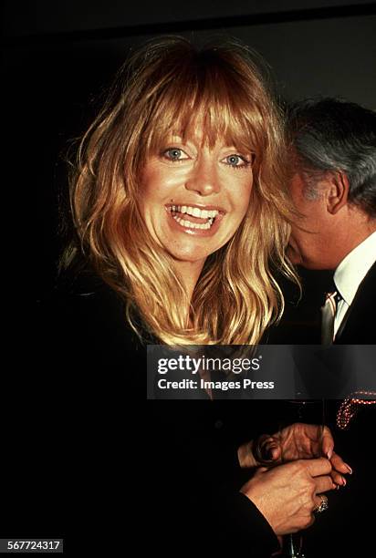 Goldie Hawn circa 1990 in New York City.