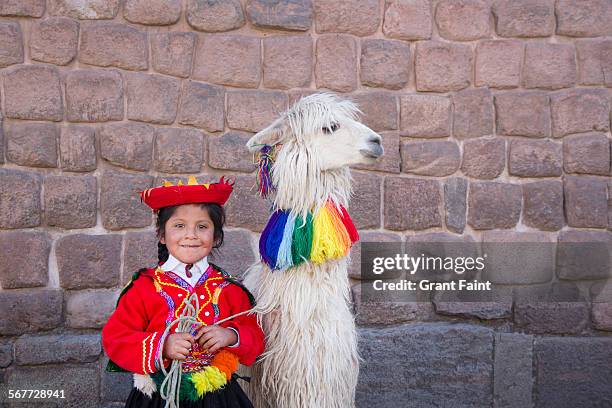 girl with llama - peru stock pictures, royalty-free photos & images