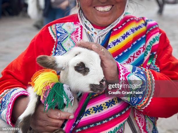 religious festival - inti raymi festival stock pictures, royalty-free photos & images