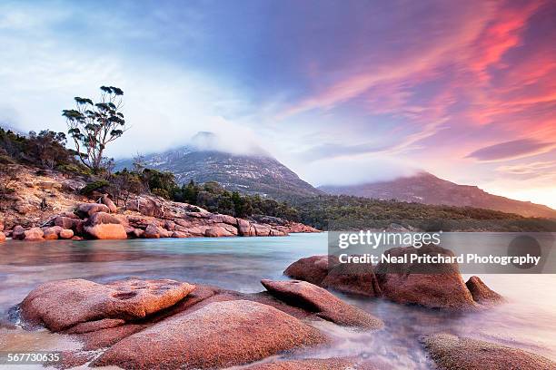 honeymoon bay tasmania - tasmania stock pictures, royalty-free photos & images