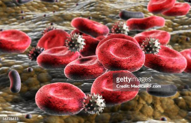 illustrations, cliparts, dessins animés et icônes de a mass of red blood cells and white blood cells. - red blood cells