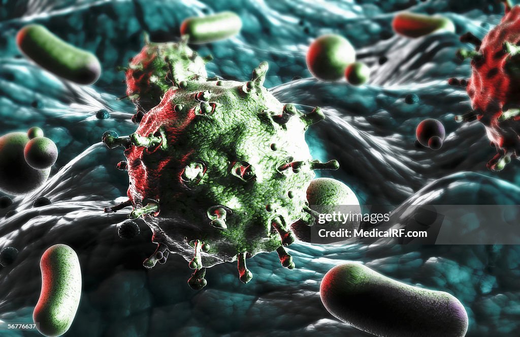 A microscopic view of a virion.