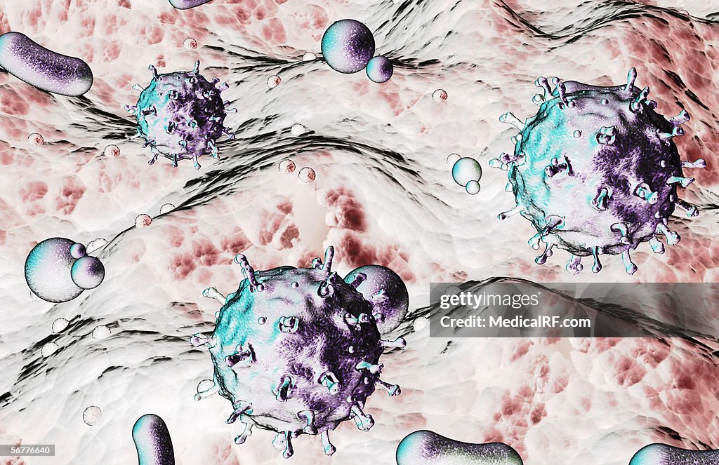 A microscopic view of a virion.