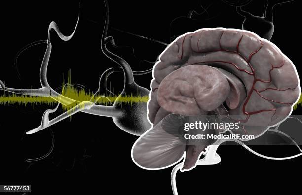 illustration showing the brain. - eeg stock illustrations