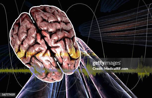 illustration showing the brain. - eeg stock illustrations