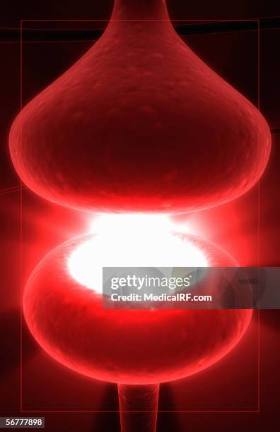 microscopic stylized view of a synaptic cleft. - synapsenspalt stock-grafiken, -clipart, -cartoons und -symbole