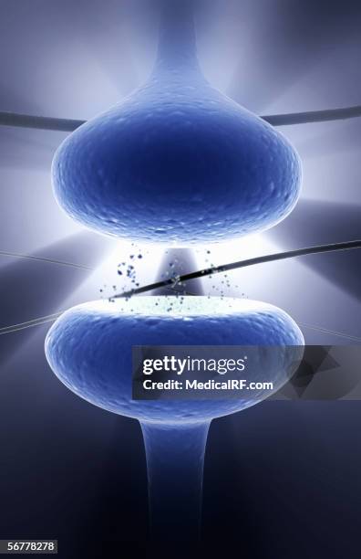 microscopic stylized view of a synaptic cleft. - synapsenspalt stock-grafiken, -clipart, -cartoons und -symbole