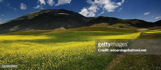 yellow land series - one - edoardogobattoni foto e immagini stock