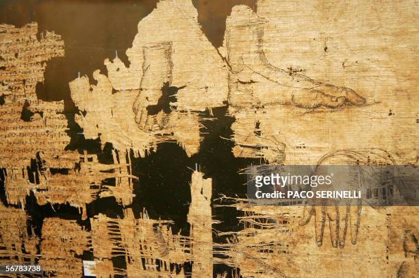 Piece of The Papyrus of Artemidorus, the exceptional artefact from the Ptolematic period, exposed to the Palazzo Bricherasio in Turin, 08 February...