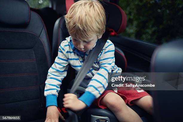 child fastening his seatbelt - seatbelt stock pictures, royalty-free photos & images