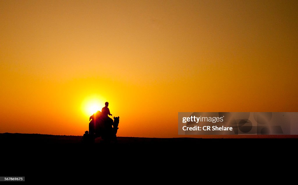 Camel Riding at Sunset