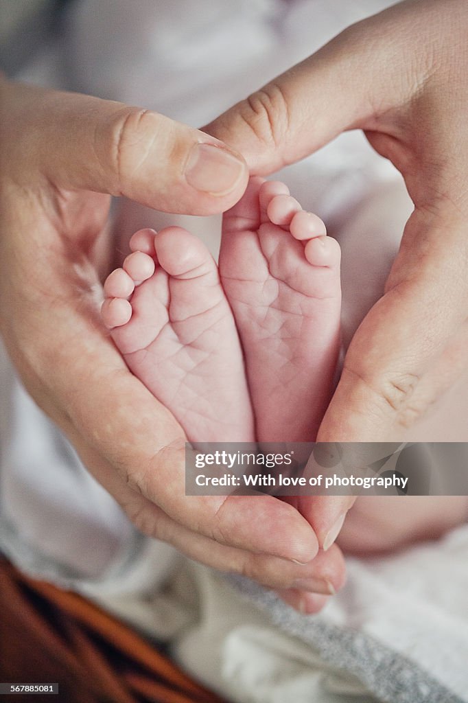 Baby feet in father's hands