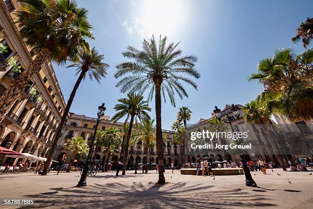 placa reial - the ramblas stock pictures, royalty-free photos & images