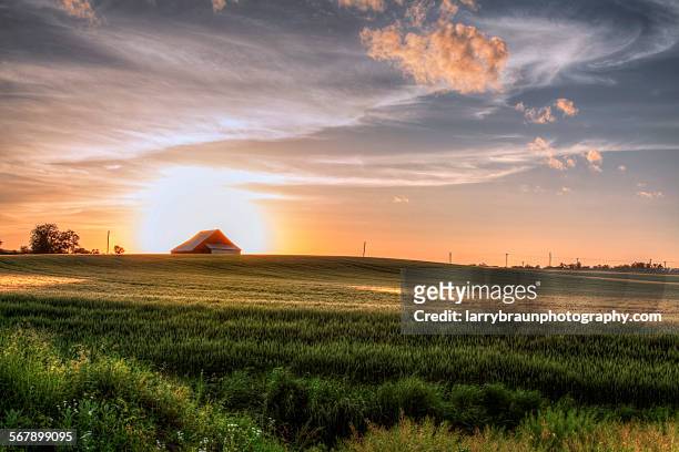 barn in a wheatfield - missouri foto e immagini stock
