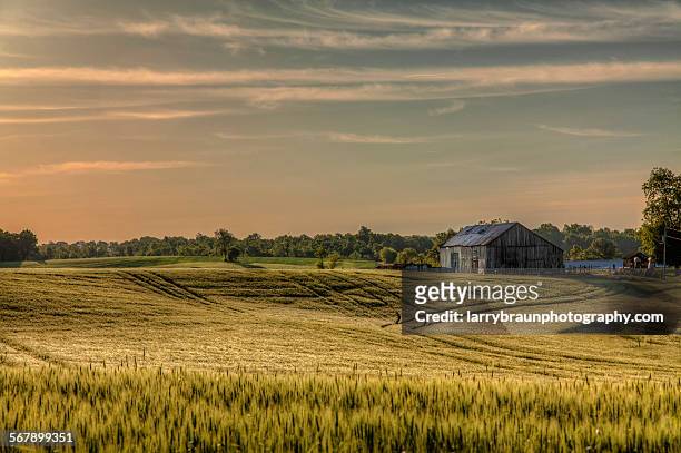 midwest morning - missouri stock pictures, royalty-free photos & images
