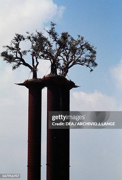 191 Rachel Morin Photos & High Res Pictures - Getty Images